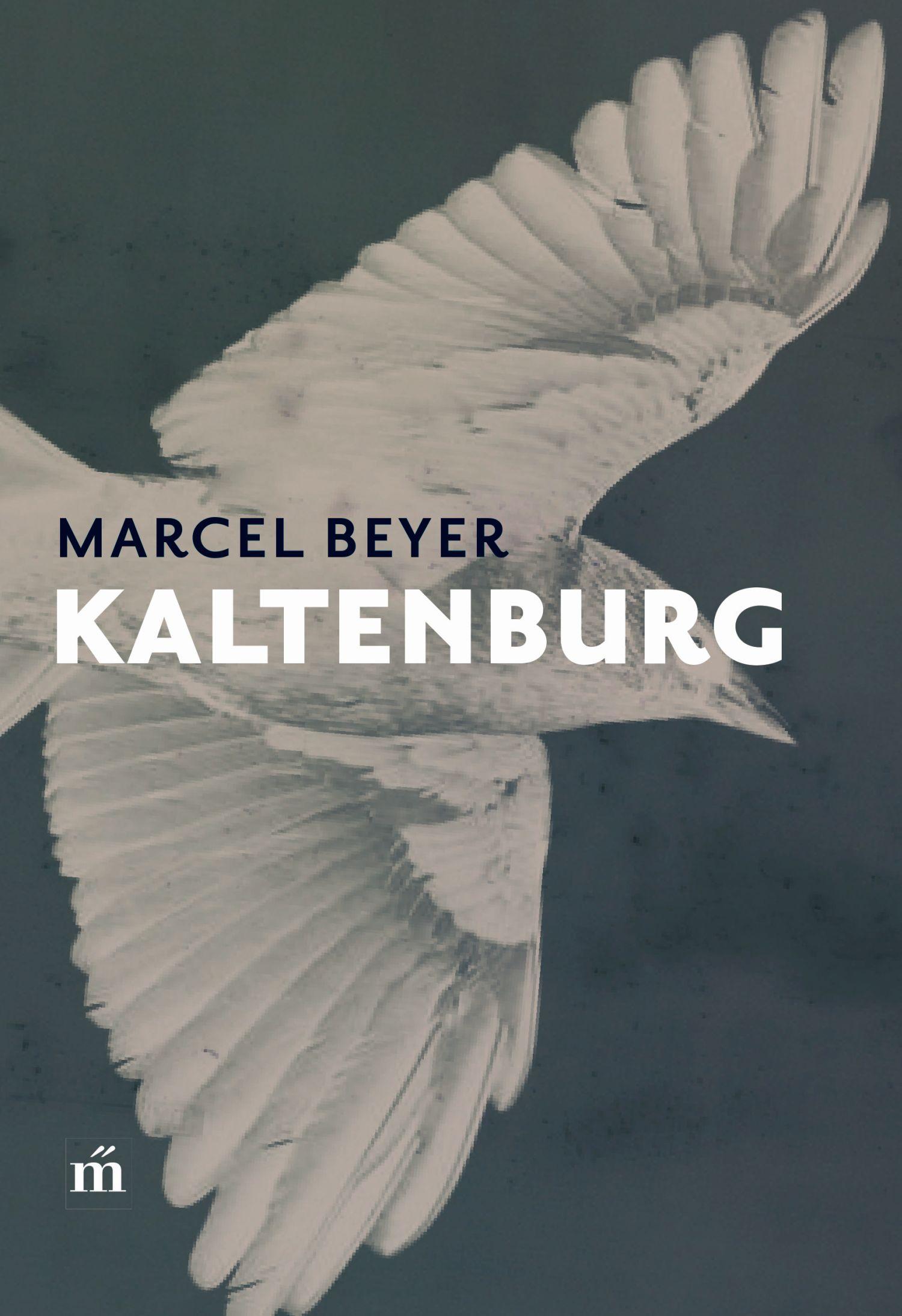 Beyer, Marcel - Kaltenburg